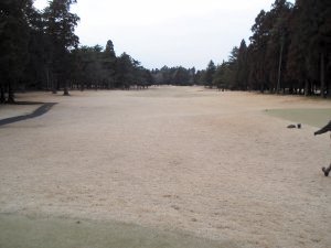 20100221