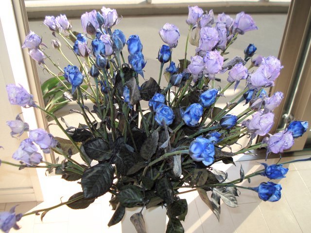 花屋のオッチャン