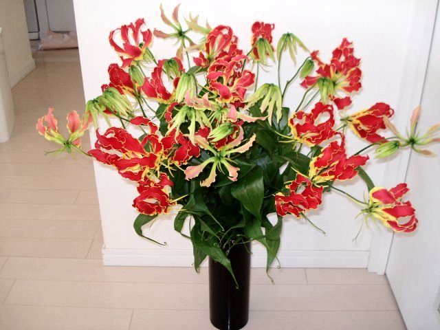 花屋のオッチャン